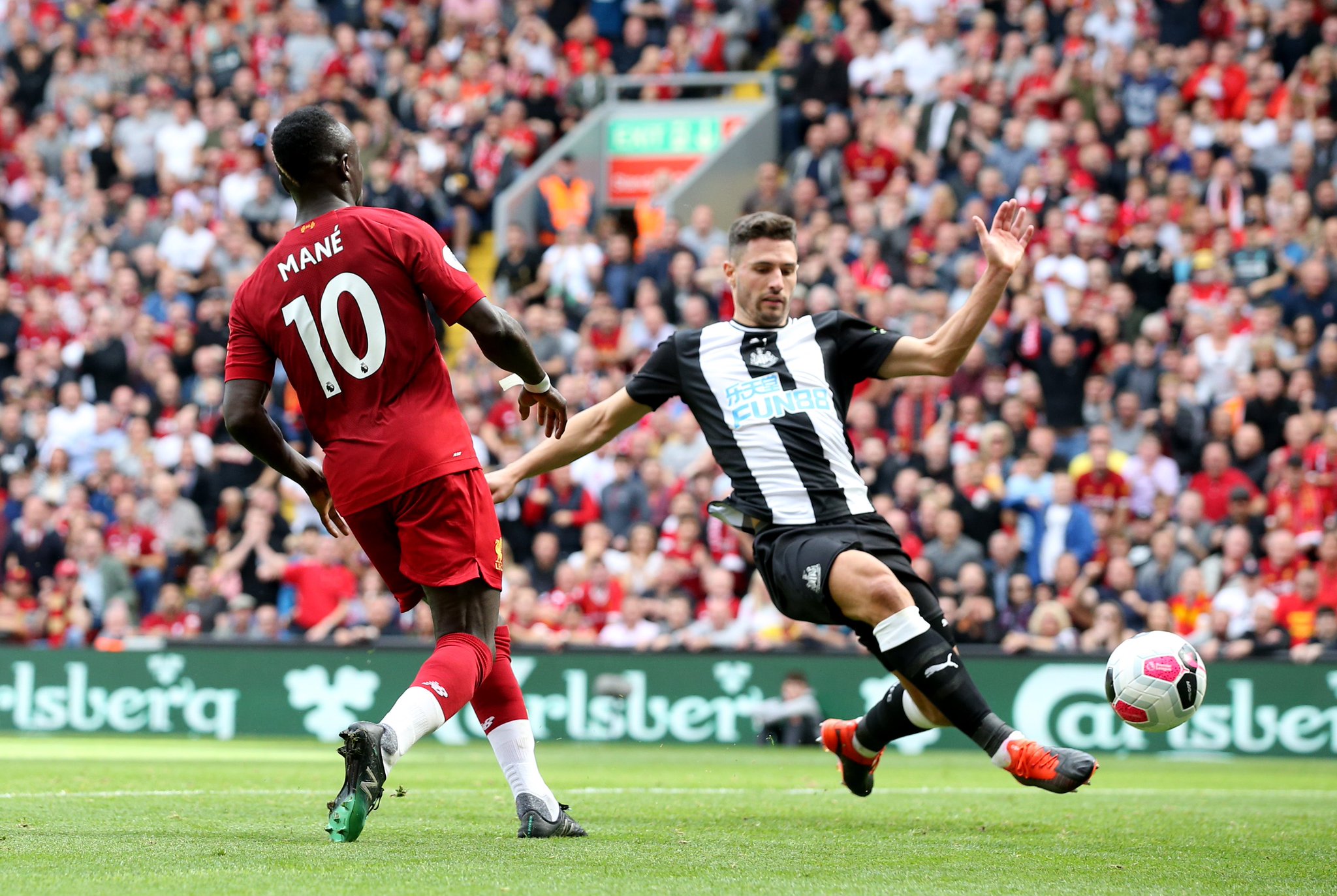 的情感纽带 的情感纽带